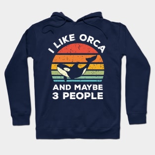 I Like Orca and Maybe 3 People, Retro Vintage Sunset with Style Old Grainy Grunge Texture Hoodie